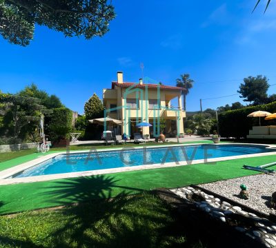 DJI_20250529_111248_333(1)